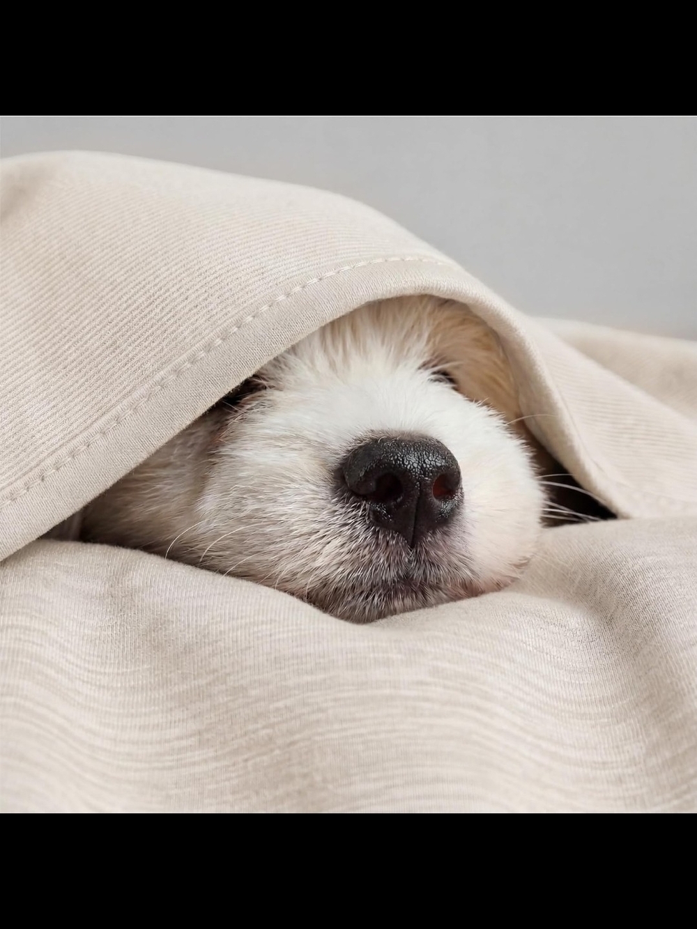 Bedsure Silky Soft Cooling Blanket for Hot Sleepers, Throw XL, Oat Beige, 50x70